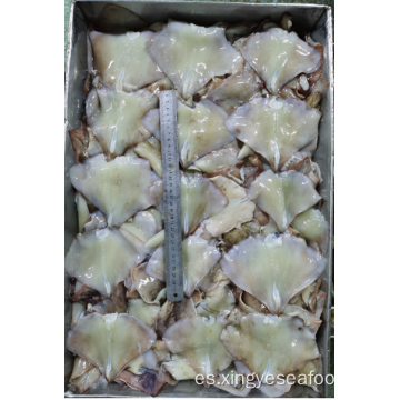 Squid congelado sobras de ala nototodarus sloanii 200-400g